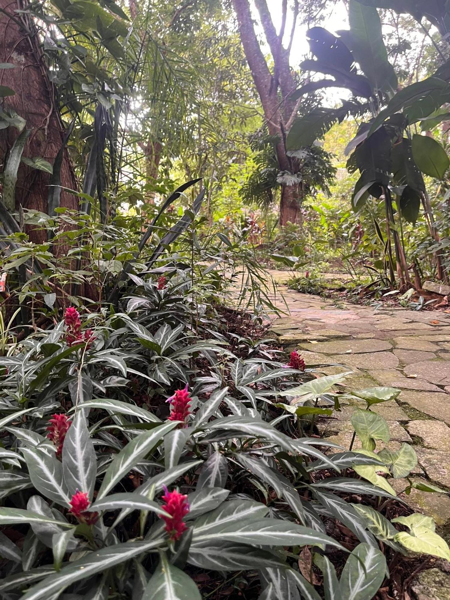 Hotel Curitiba Campo Comprido Luaran gambar