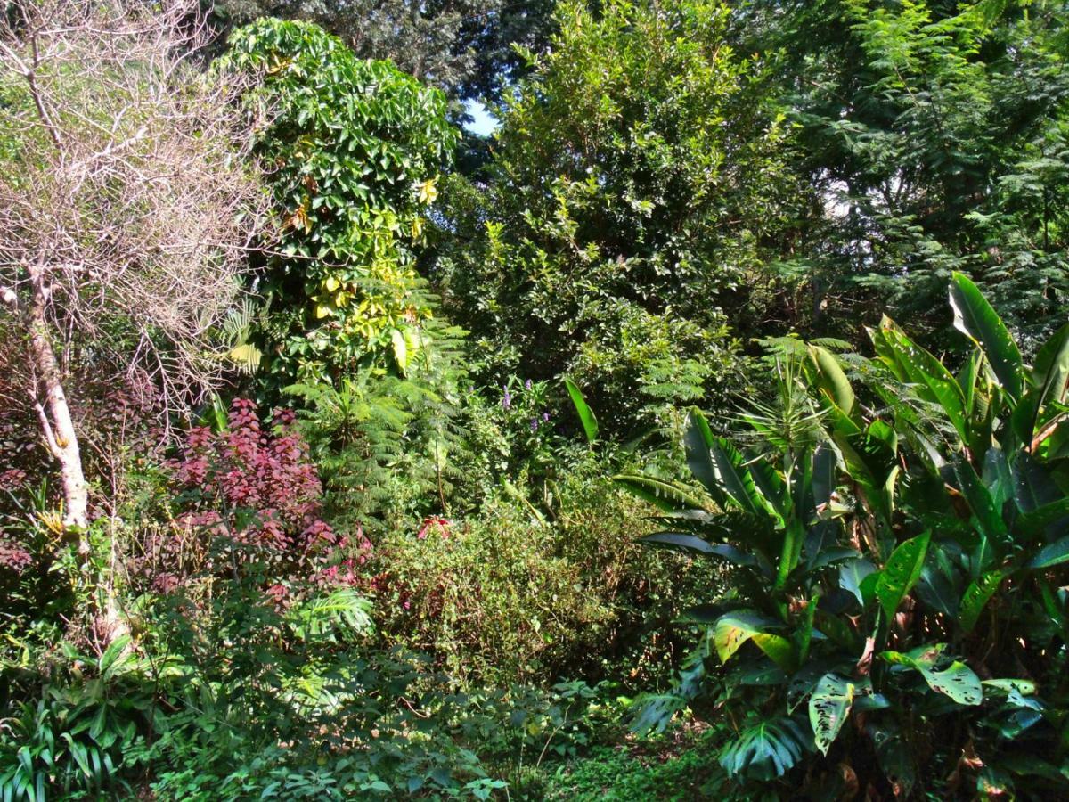 Hotel Curitiba Campo Comprido Luaran gambar